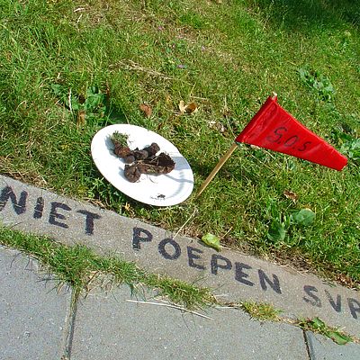 1074_hondsdagen.jpg