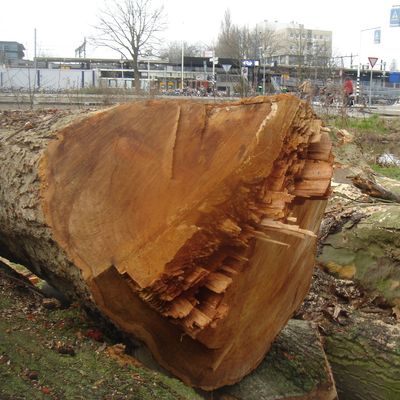 110_geen_kruimelwerk_71.jpg