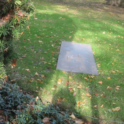 1146_een_wonderbaarlijke_terugkeer_15_25_10.jpg