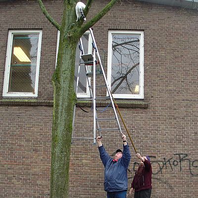 1186_helpen.jpg