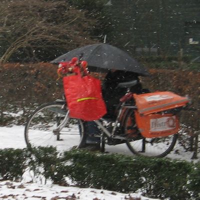 1263_buiten_19_02.jpg