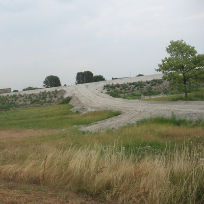 1410_open_veld_16_07_10.jpg