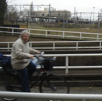1554_lijnen.jpg