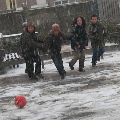 1564_afgelastingen_18_12_10.jpg