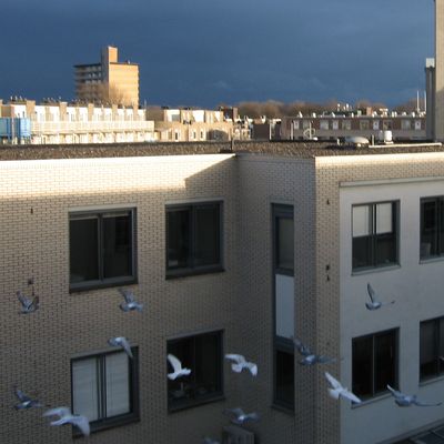 156_de_toekomst_212.jpg