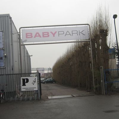 1617_zo_jongens_11_02_11.jpg