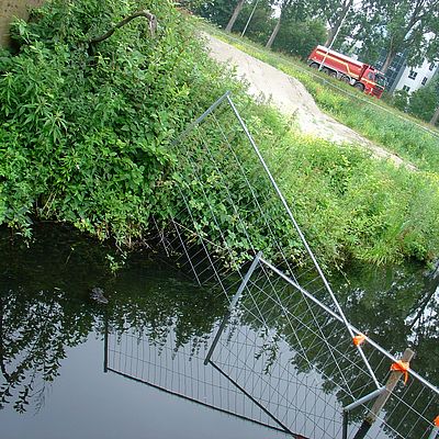1778_stilgezwegen_bever_in_de_schemering_.jpg