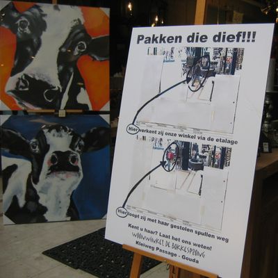 195_pakken_die_dief_293.jpg
