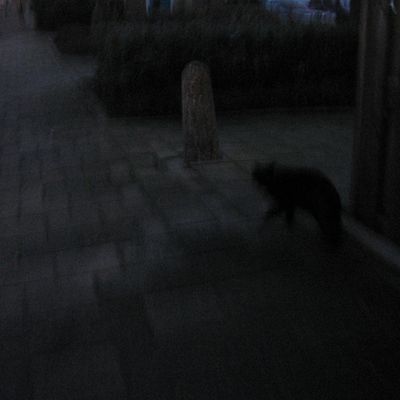 1961_het_spooksel_22_01_2012.jpg
