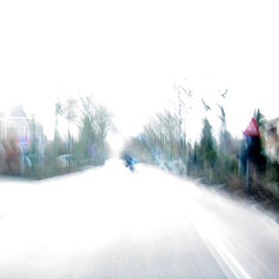 2003_in_het_witten_05_03_2012.jpg