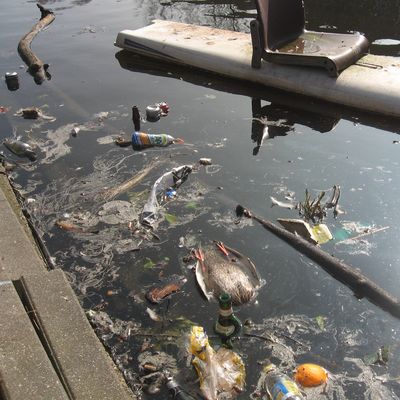 2022_voortvloeisel_23_03_2012.jpg