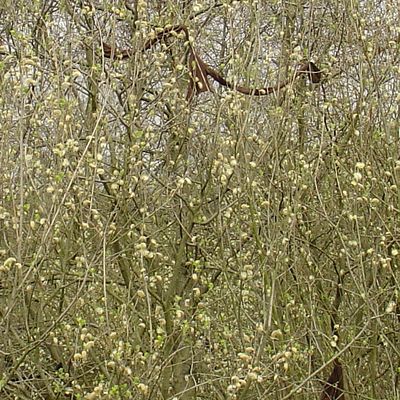 2038_de_vrije_natuur.jpg