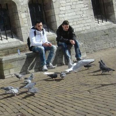 2193_veldonderzoek.jpg