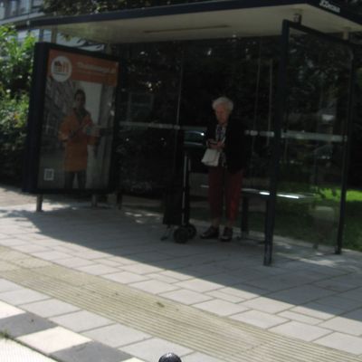 2201_verborgen_serre_09_09_2012.jpg