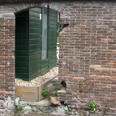 2231_de_achtertuin_15_10_2012.jpg