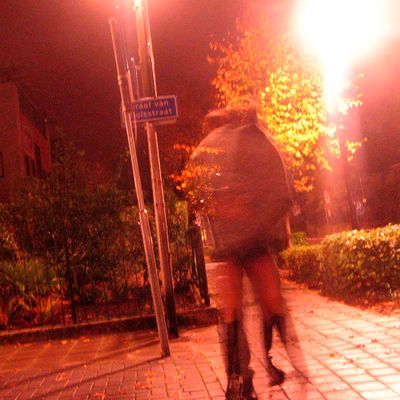 2241_heel_dicht_bij_24_10_2012.jpg