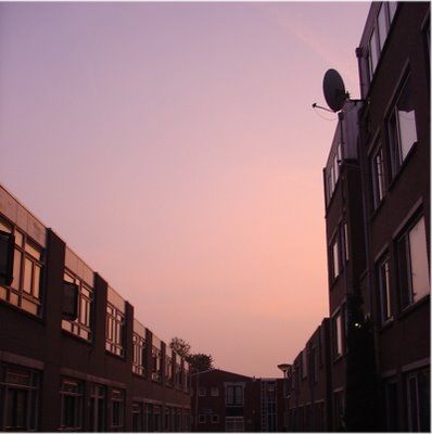 22_verlangen_910.jpg