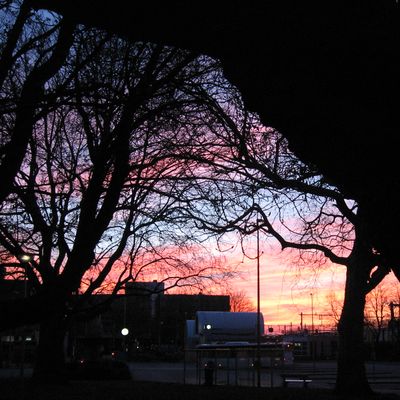 235_avondoverpeinzing_85.jpg