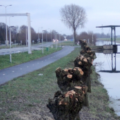 2360_mijn_lege_blik.jpg