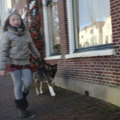 2381_de_jonge_rek.jpg