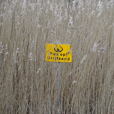 2392_drijfzand.jpg