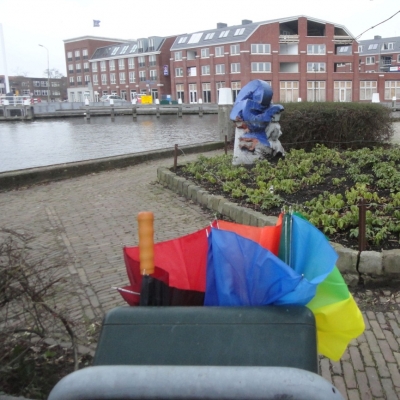 2403_de_vraag.jpg