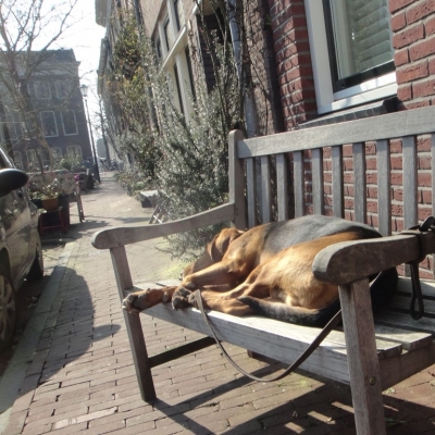 2426_ondertussen.jpg