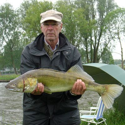 2476_een_woord_als....jpg