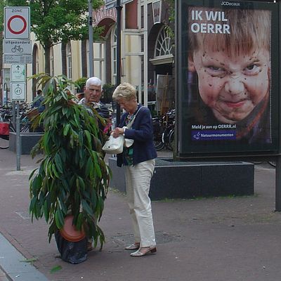 2481_oerrr___________2.jpg