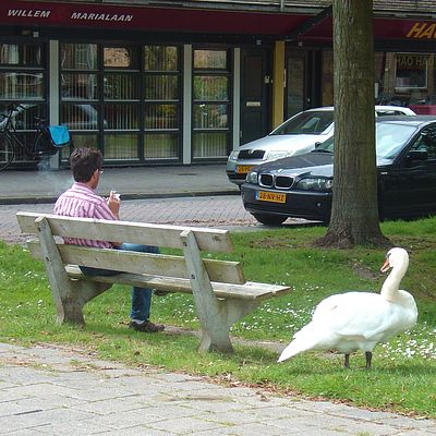 2516_tijd_op_de_willem_en_marialaan.jpg