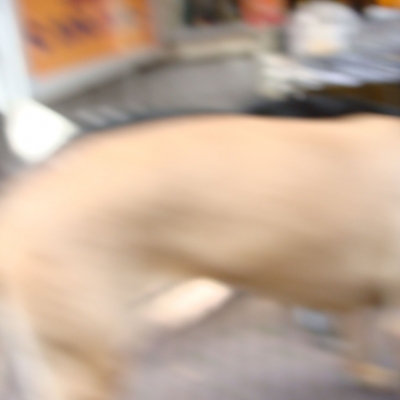 2521_smaak.jpg