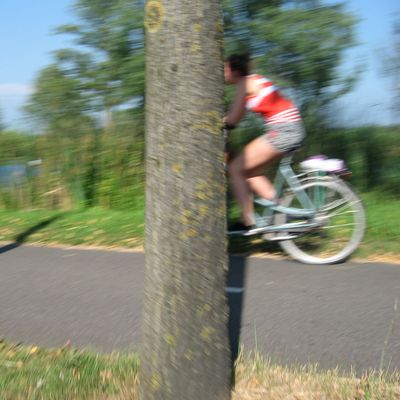 2525_uit_de_weg_28_07_2013.jpg