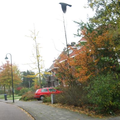 2607_een_lijn_21_10_2013.jpg
