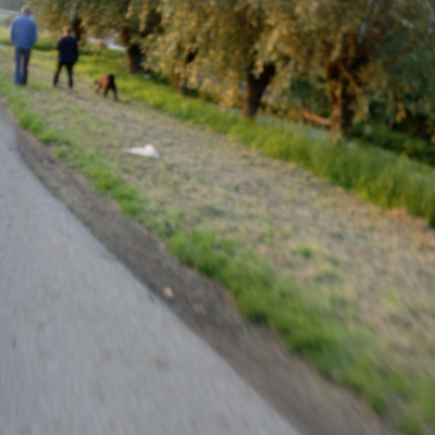 2617_zelfs_nog_sterker.jpg