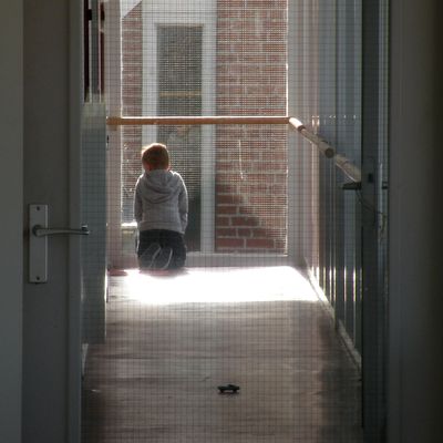2623_hoe_dichter_bij_08_11_2013.jpg
