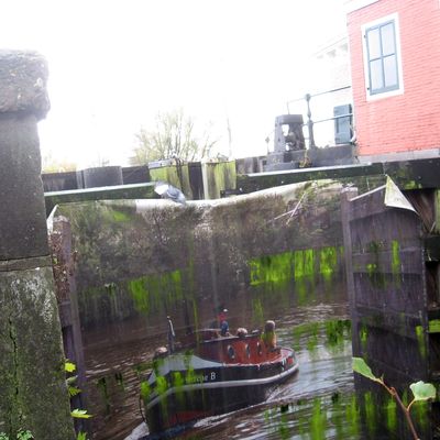2639_voor_het_geval_24_11_2013.jpg