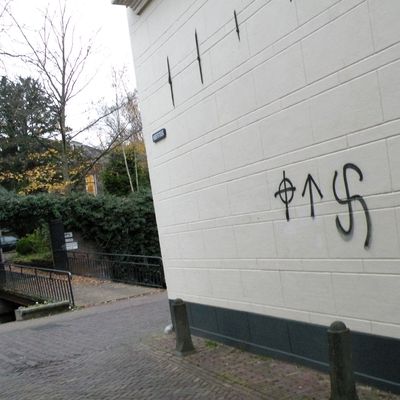 2644_mijn_intelligente_neef_28_11_2013.jpg