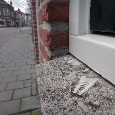 2720_voldoende_details.jpg
