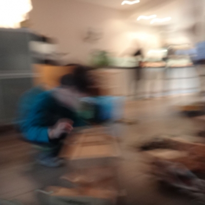 2726_onder_de_flapjes.jpg
