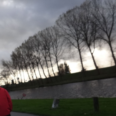 2730_lidmaatschap.jpg