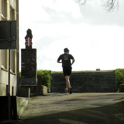 2732_om_de_hoek_22_02_2014.jpg