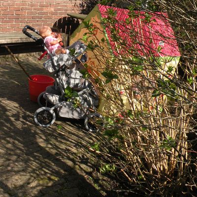 2749_het_hele_huis__13_03_2014.jpg