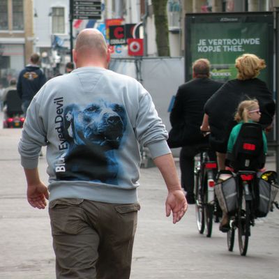 2801_blauwe_vlek_22_04_2014.jpg