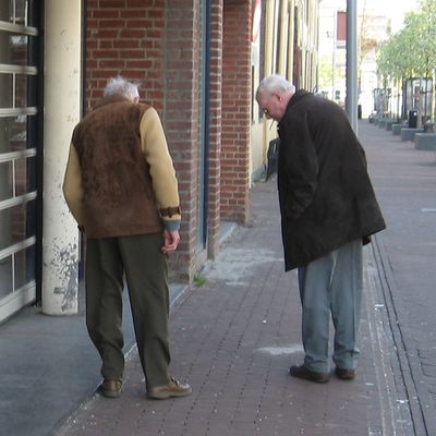 280_wat_we_vinden_236.jpg