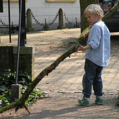 2826_natuur_16_05_2014.jpg
