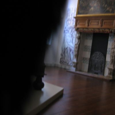 288_in_mijn_museum_17.jpg