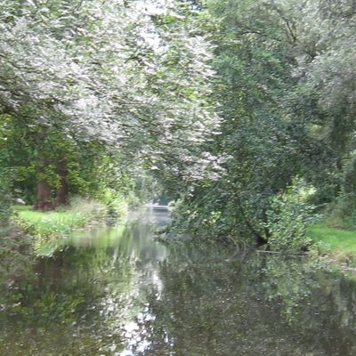 309_de_rand_van_de_rand_227.jpg