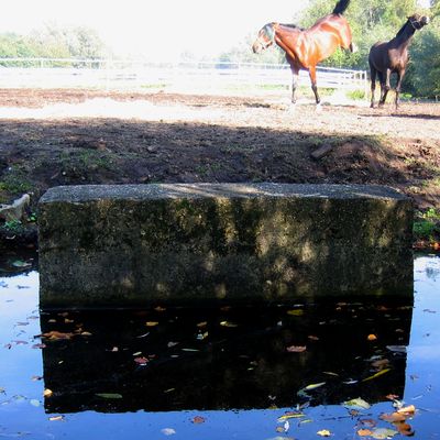 30_enige_dochter_1710.jpg