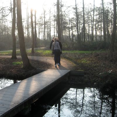 3100_als_liedje_half_gouda_20_02_2015.jpg