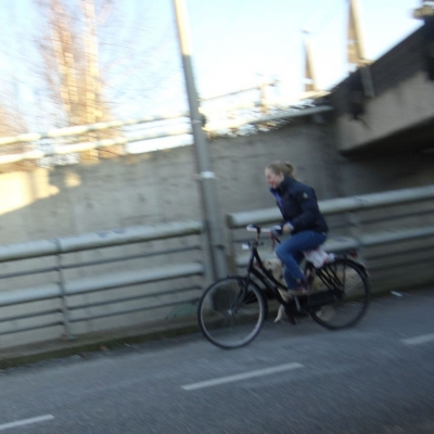 3107_uitgelaten_half_gouda.jpg
